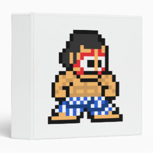 8-Bit E. Honda Binder