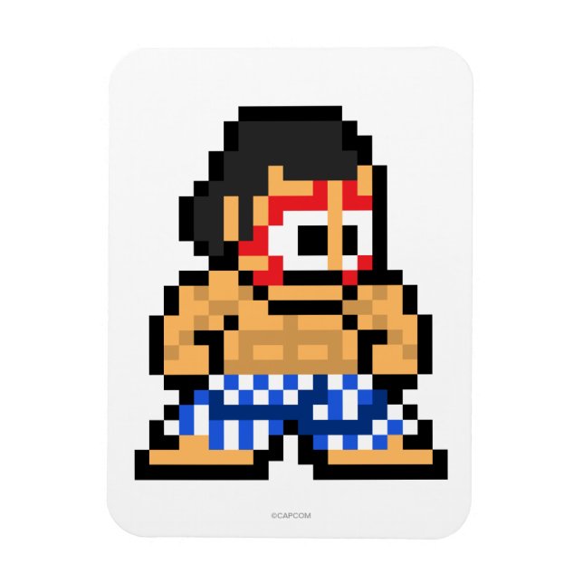 8-Bit E. Honda Magnet (Vertical)