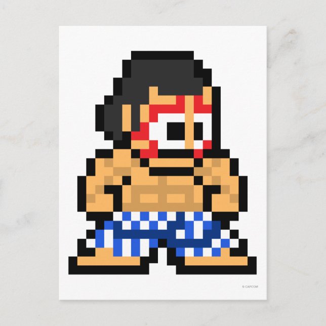 8-Bit E. Honda Postcard (Front)