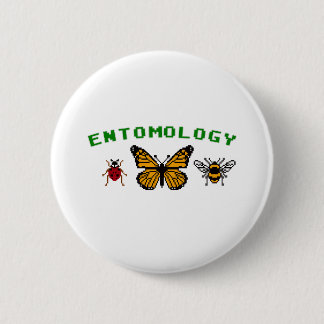 8-Bit Entomology Pinback Button