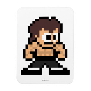 8-Bit Fei Long Magnet