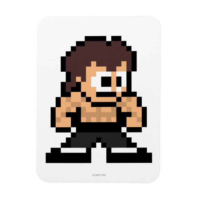 8-Bit Fei Long Magnet (Vertical)