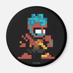 8-Bit Hakan Magnet