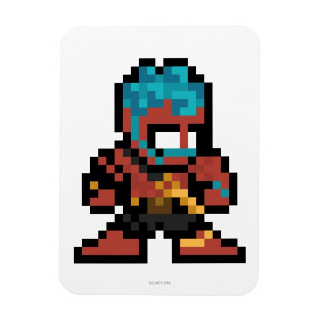 8-Bit Hakan Magnet (Vertical)