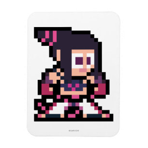 8-Bit Juri Magnet