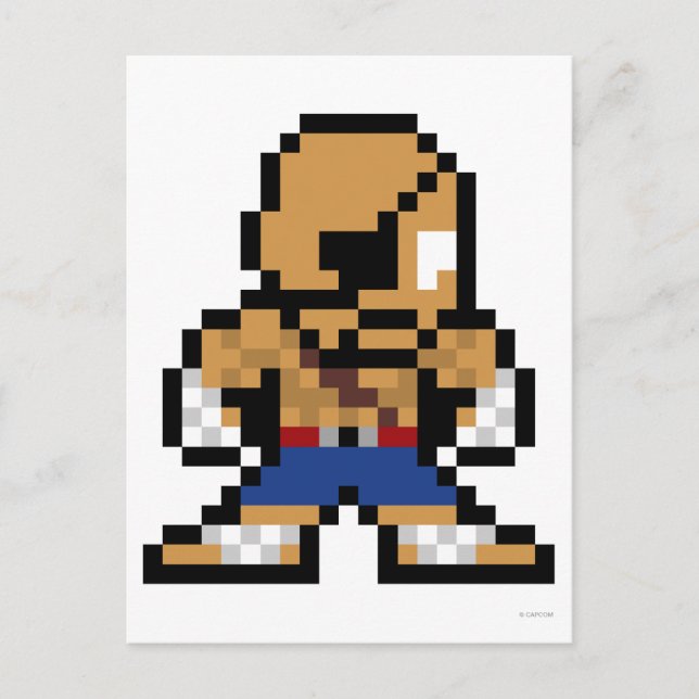 8-Bit Sagat Postcard (Front)