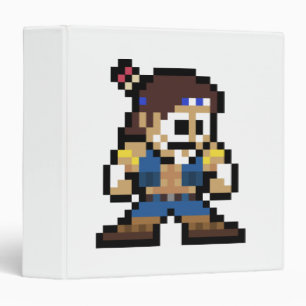 8-Bit T. Hawk Binder