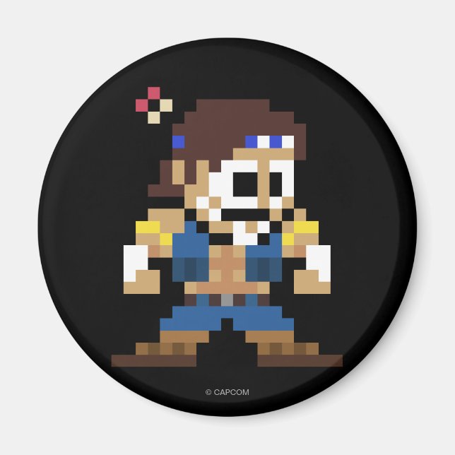 8-Bit T. Hawk Magnet (Front)