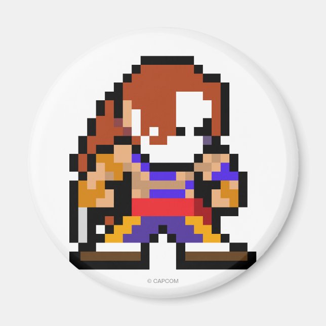 8-Bit Vega Magnet (Front)