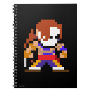 8-Bit Vega Notebook