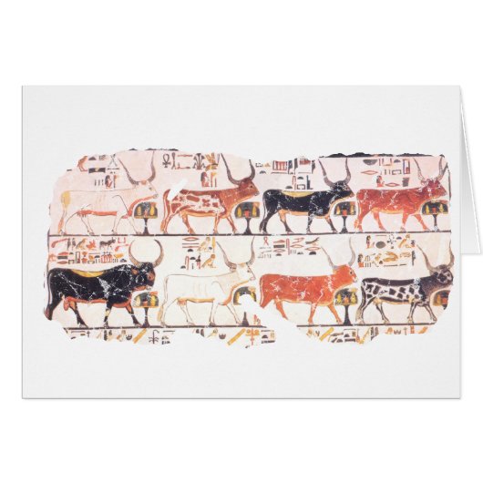 8 cows cards (Front Horizontal)