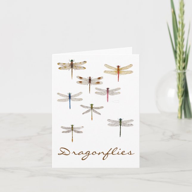 8 Dragonflies Card (Front)