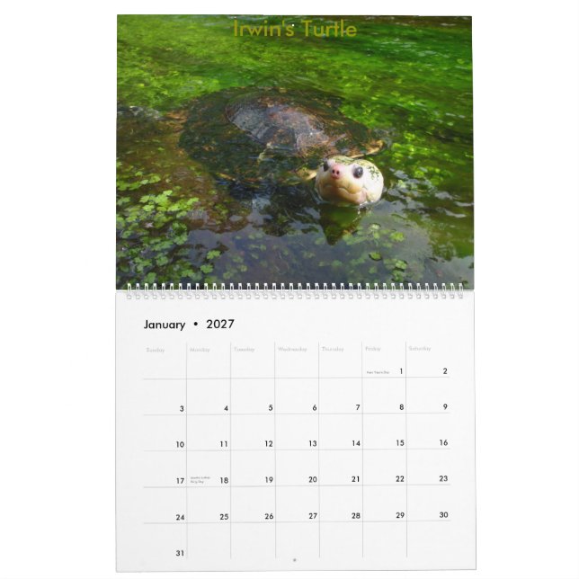 8 Month Australian Freshwater Turtle Calendar (Jan 2027)