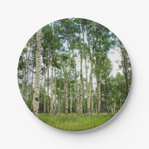 8 Paper Plates Quaking Aspens