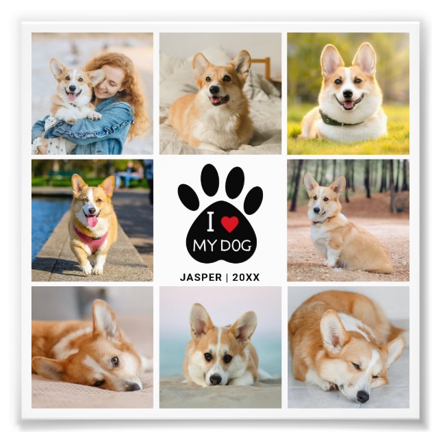 8 Photo Collage I Love My Dog Photo Enlargement Print (Front)