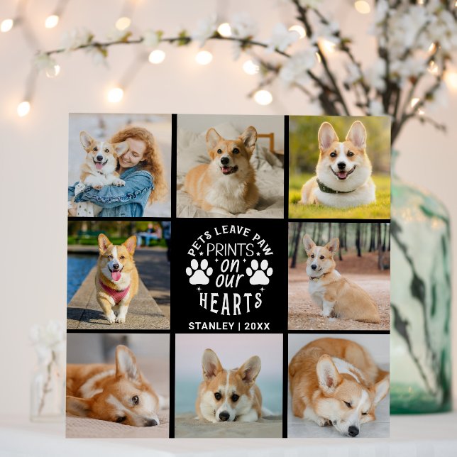 8 Photo Collage Pet Memorial Remembrance  Foam Board (In Situ (Wedding))
