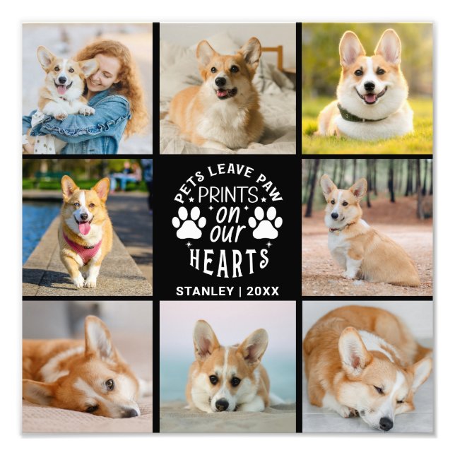 8 Photo Collage Pet Remembrance Photo Enlargement (Front)