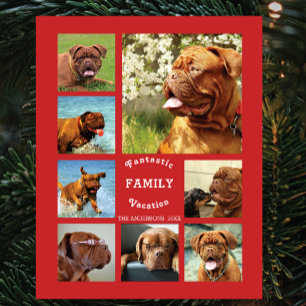 8 Picture Family Photo ✨ Custom Memories Plaque