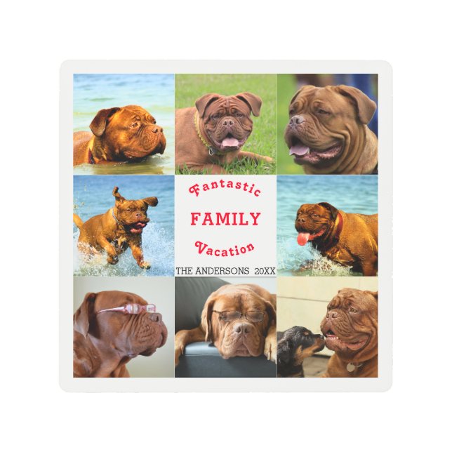  8 Picture Family Photo ✨ Custom Monogram Metal Print (Front)