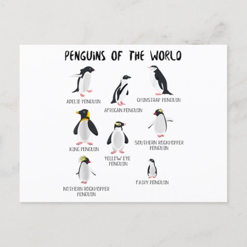 8 Rarest Penguins of the World _ Funny Animals Announcement Postcard