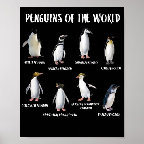 8 Rarest Penguins of the World Funny Animals Poster