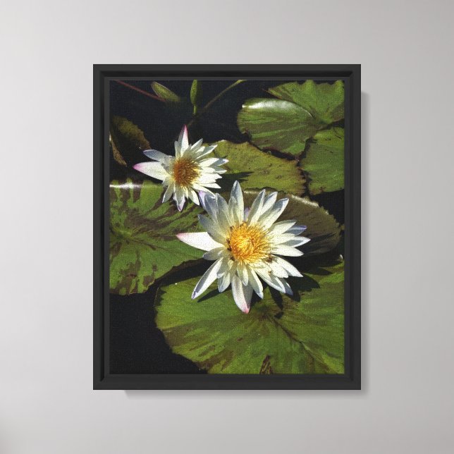 8"x10" Water Lilies  Canvas Print (Front)