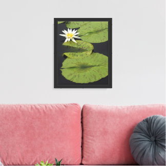 8"x10" Water Lily Canvas Print