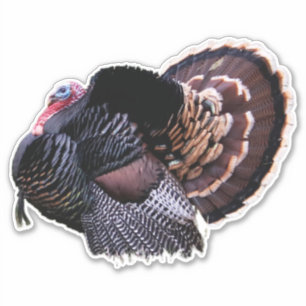 8"x8" Wild Turkey Sticker
