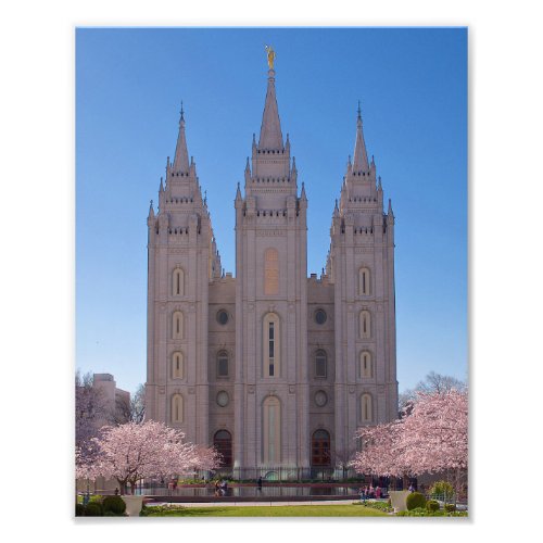 8 X 10 Salt Lake Temple with trees in pink blooms Photo Print