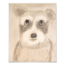 8" x 10" Shaded Schnauzer Print