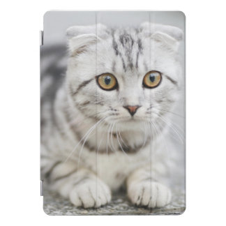 8th Gen iPad w/ 10.2" Retina and Apple 10.5" iPad iPad Pro Cover