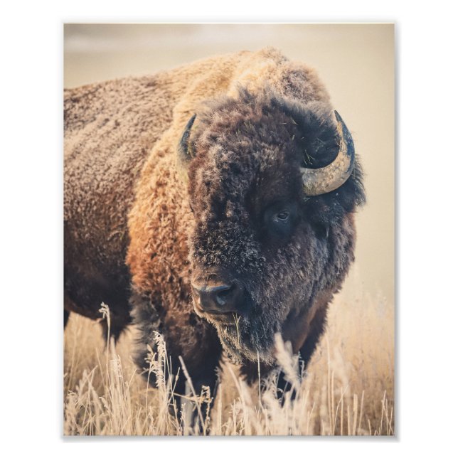 8x10 Print - Frosty Morning (Front)