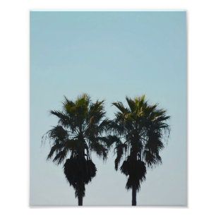 8x10 Summer Palm Trees Photo Print