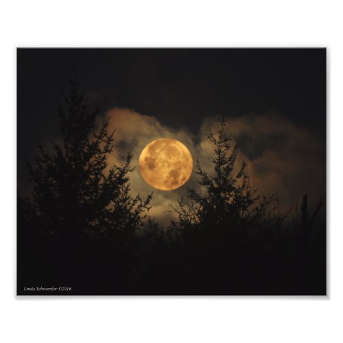 8X10 Super Moon 11_14_16 Photo Print