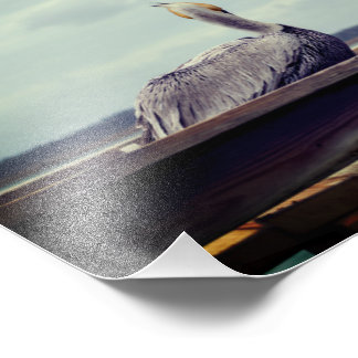 8x12 Photo - "Chillin' Pelican" St. Augustine, FL