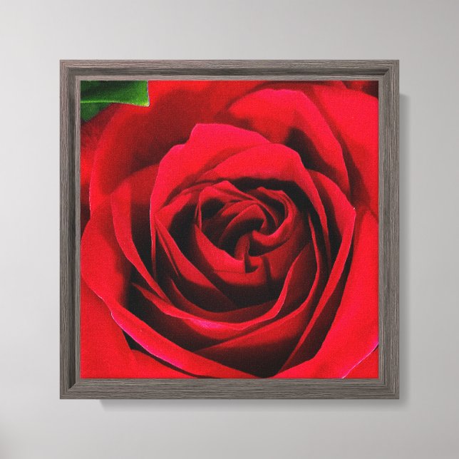 8X8 Rose Print on Canvas (Front)