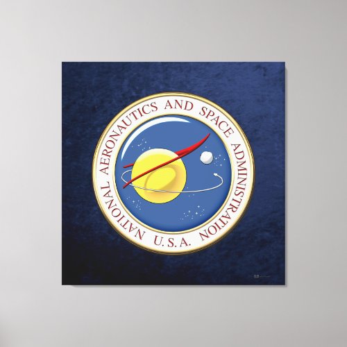 [900] NASA Emblem [3D]