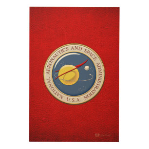 [900] NASA Emblem [3D] Wood Wall Decor