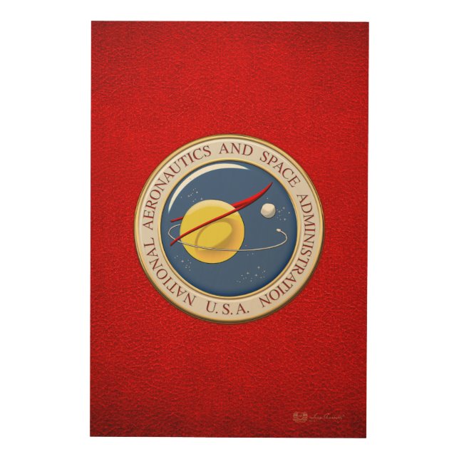 [900] NASA Emblem [3D] Wood Wall Decor (Front)
