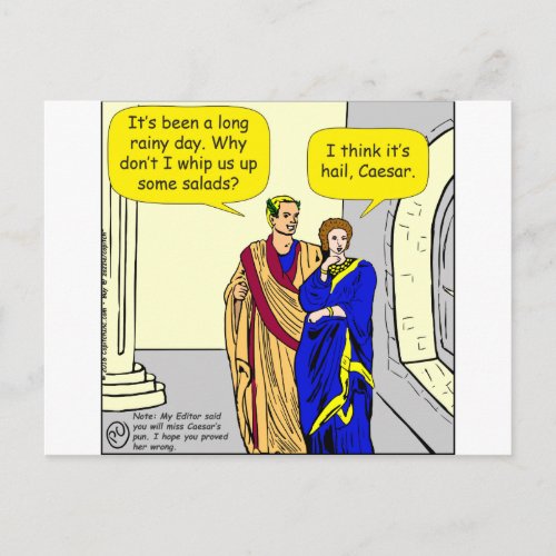 902 Caesar Ill make a salad cartoon Postcard