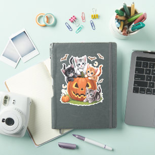 90s Cat Pumpkin Halloween Floral Spooky Season Sticker