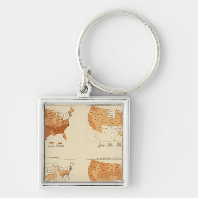 91 Proportions in occupations 1900 Keychain (Front)