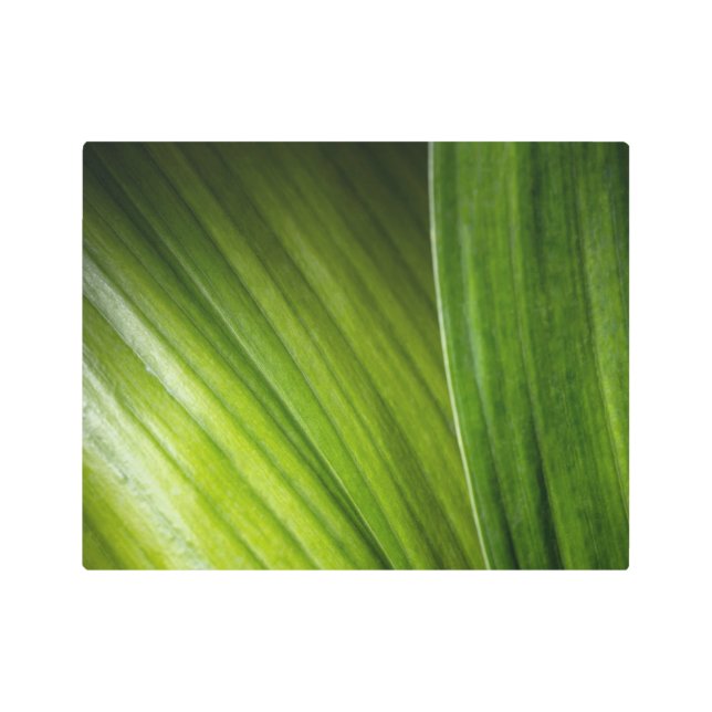9206-Green Leaves Metal Print (Front)