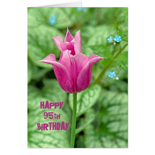 95th Birthday Tulip Cards (Front)