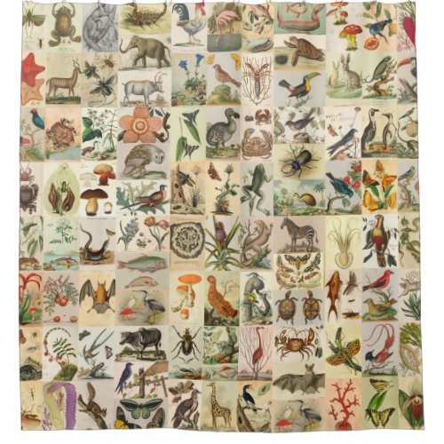 96 Natural History Botanical Animal Prints Vintage Shower Curtain