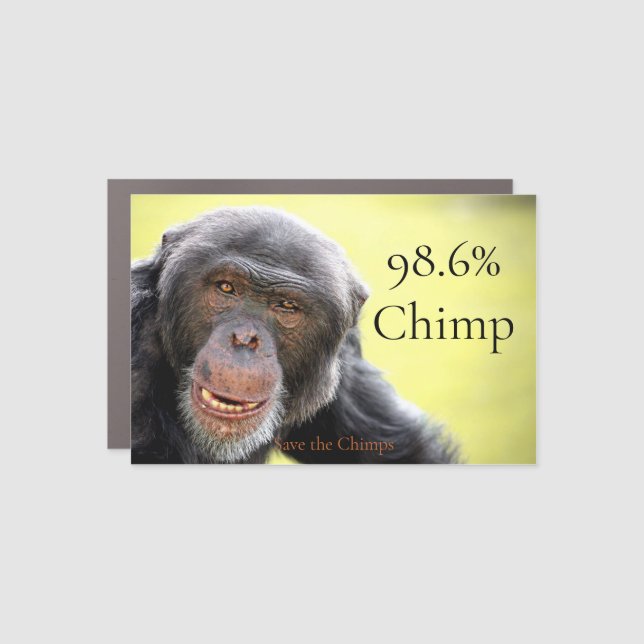 98.6% Chimp Car Magnet (Front)