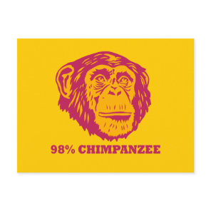 98% Chimpanzee Postcard