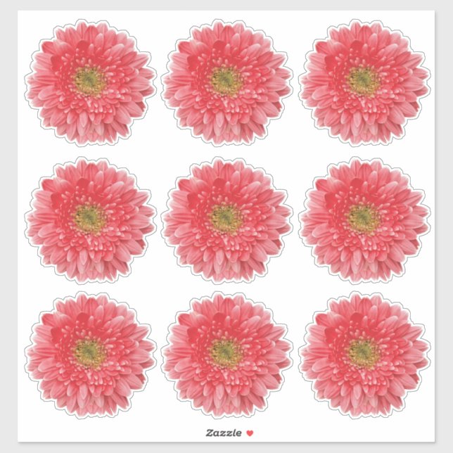 9 Coral Gerbera Daisy Flower Kiss-Cut Stickers (Sheet)