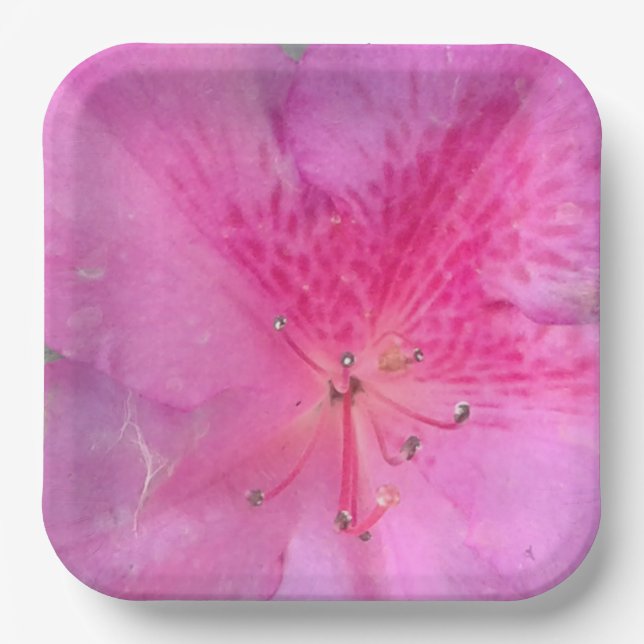 9 Inch Square Paper Plates (Front)