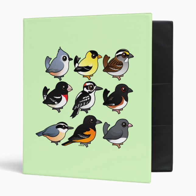9 Northeast USA Backyard Birds Binder (Front/Inside)